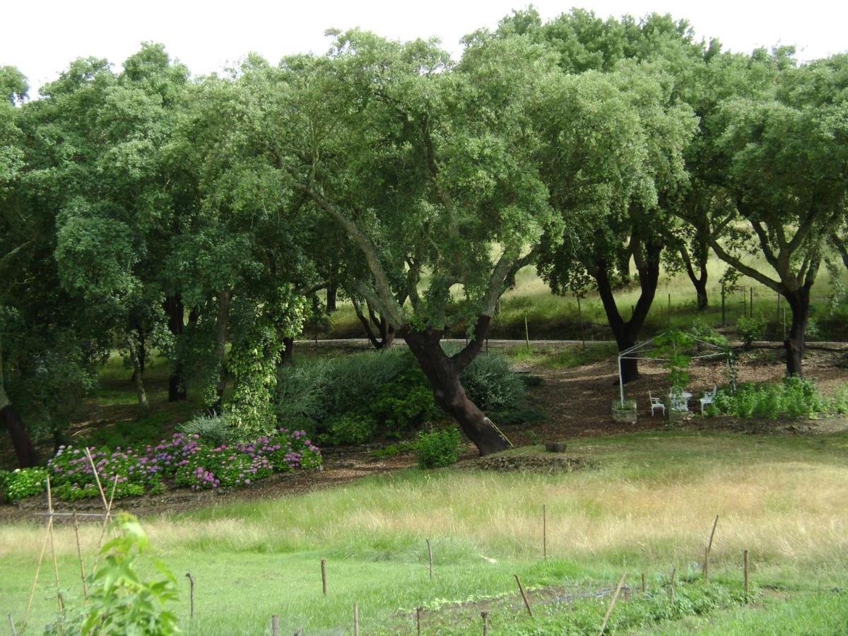 Quinta Do Cano เอโวรา ภายนอก รูปภาพ