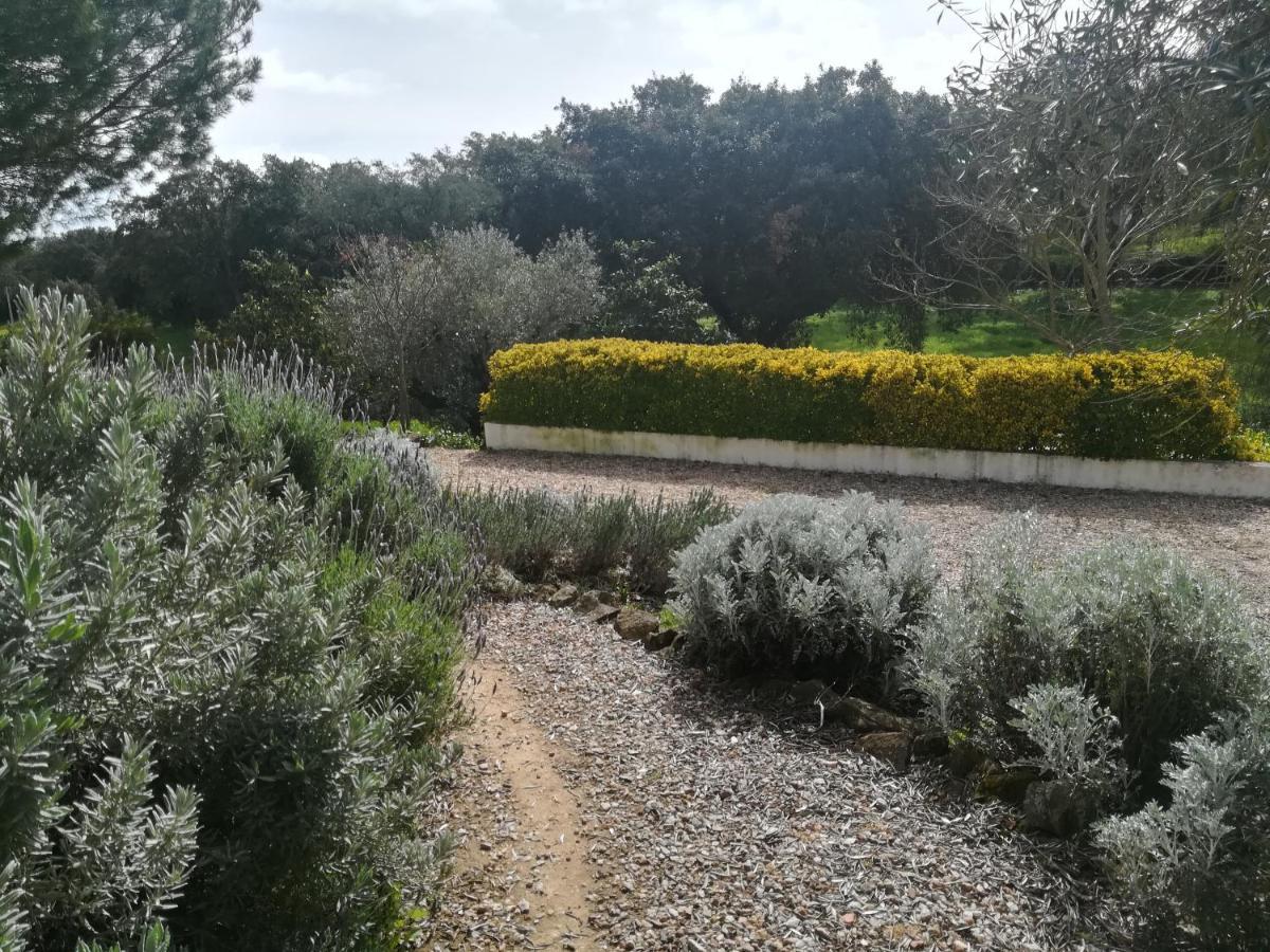 Quinta Do Cano เอโวรา ภายนอก รูปภาพ