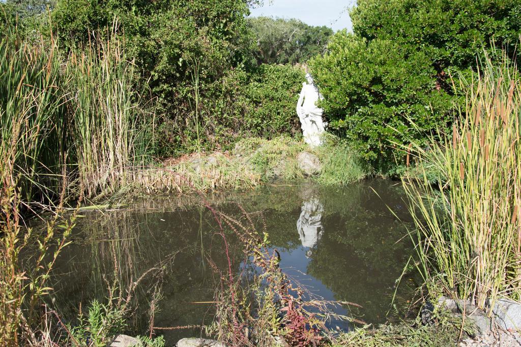 Quinta Do Cano เอโวรา ภายนอก รูปภาพ